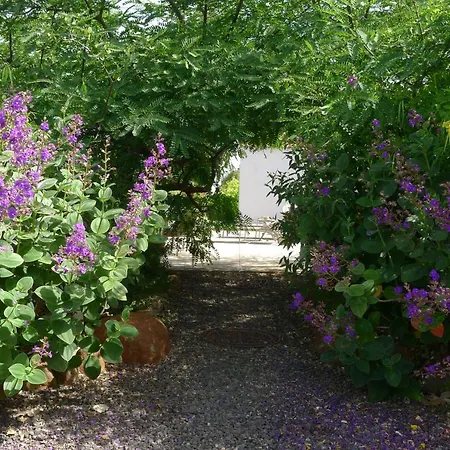 Casa Son Risa Holiday home Puntagorda (La Palma)