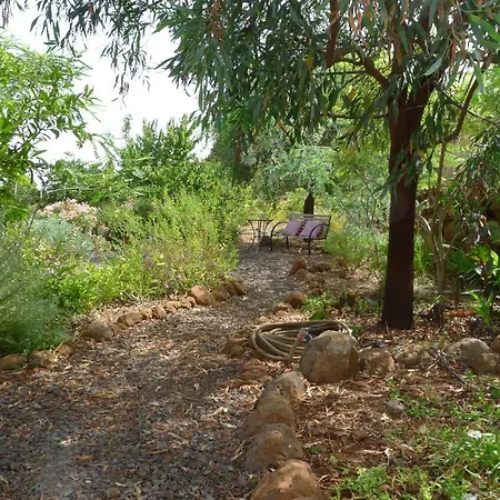 Casa Son Risa