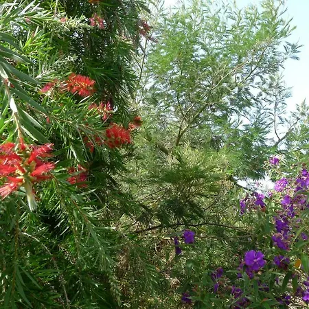 Σπίτι διακοπών Casa Son Risa Πούντα Γκόρντα