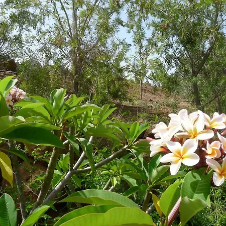 Casa Son Risa Πούντα Γκόρντα